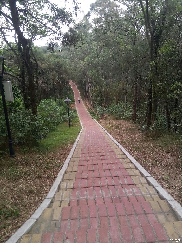 花都飞鹅岭山顶公园休闲好去处