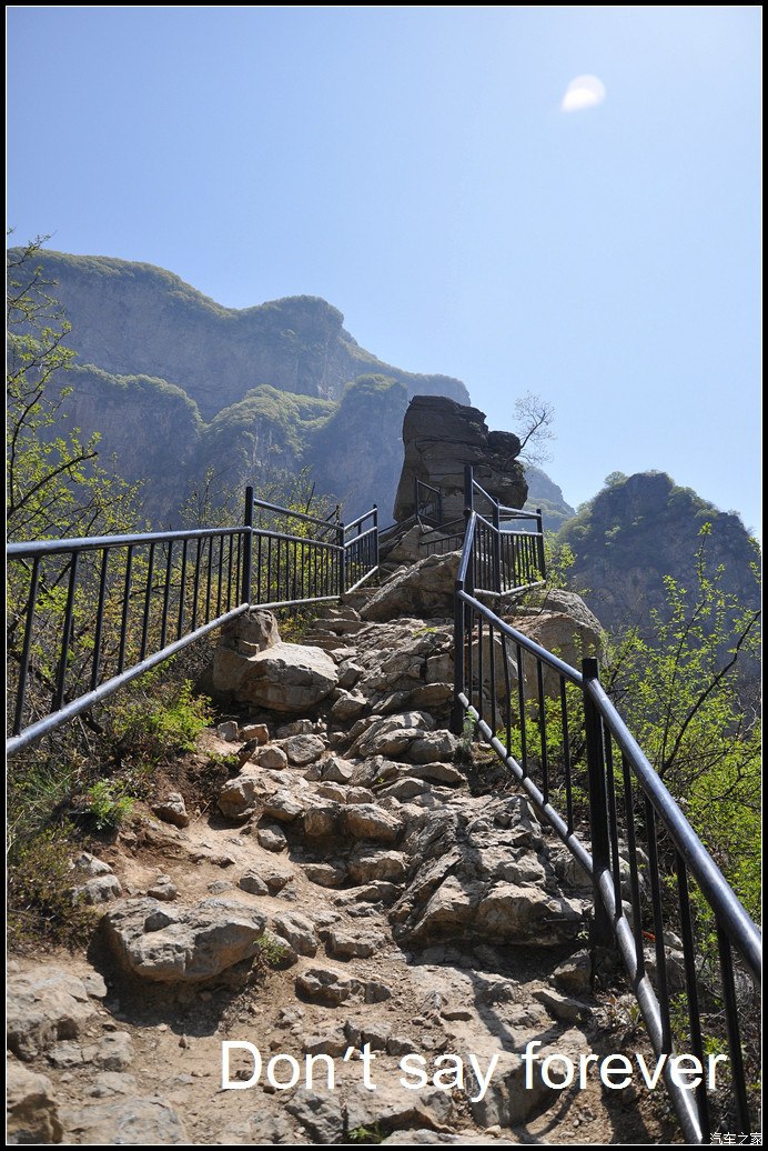 济源猴山半日游