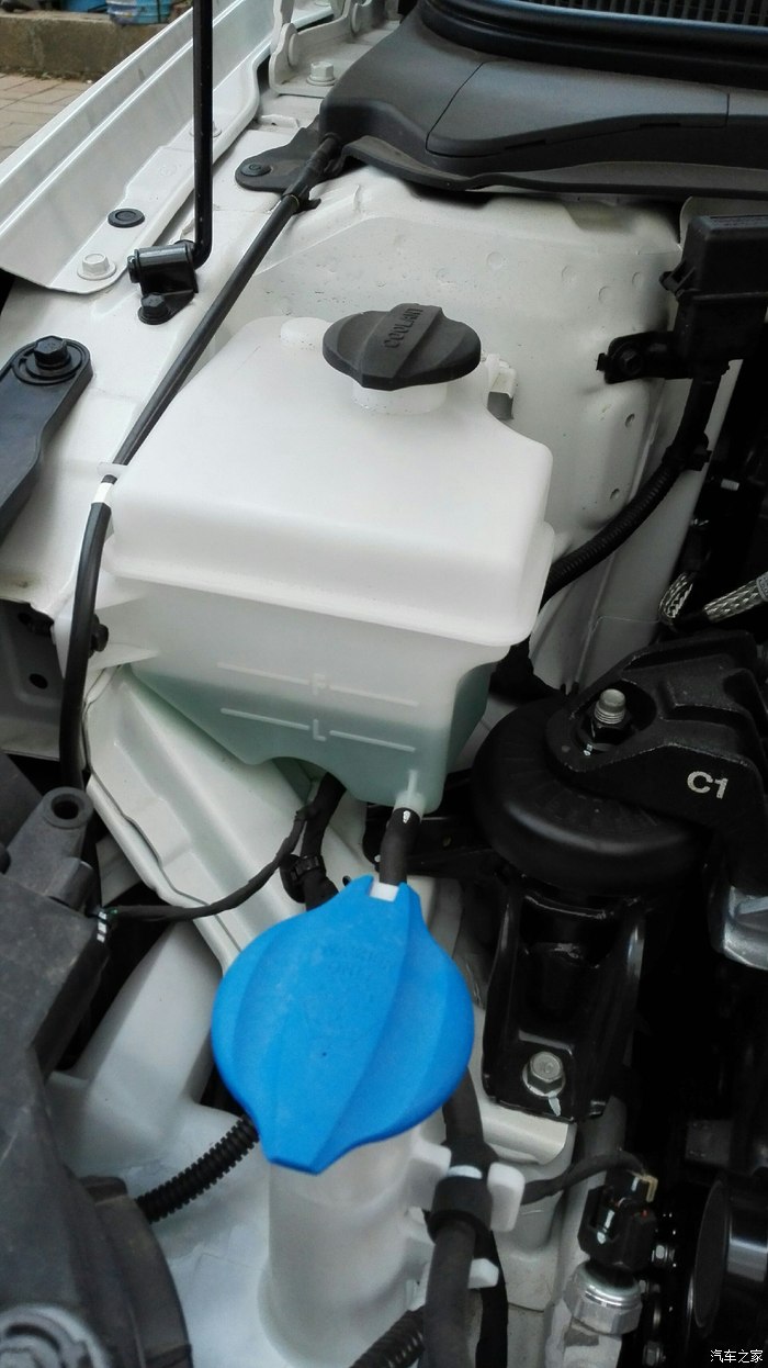 关于防冻液,求知识