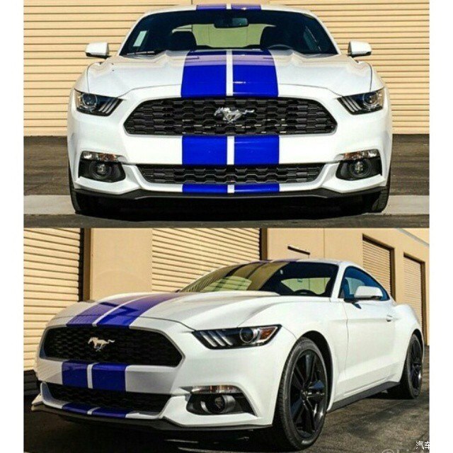 本人已订白色野马自我认为白色比较适合全车贴拉花求推荐