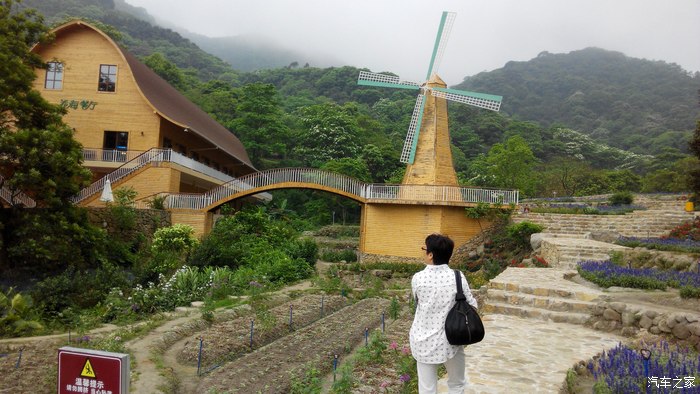 【暮春增城二龙山赏五月雪·油桐花】