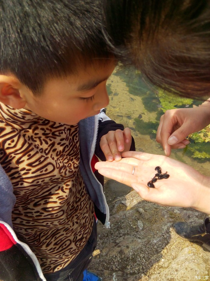 春游带着孩子体验80后的童年捞蝌蚪一路桃花