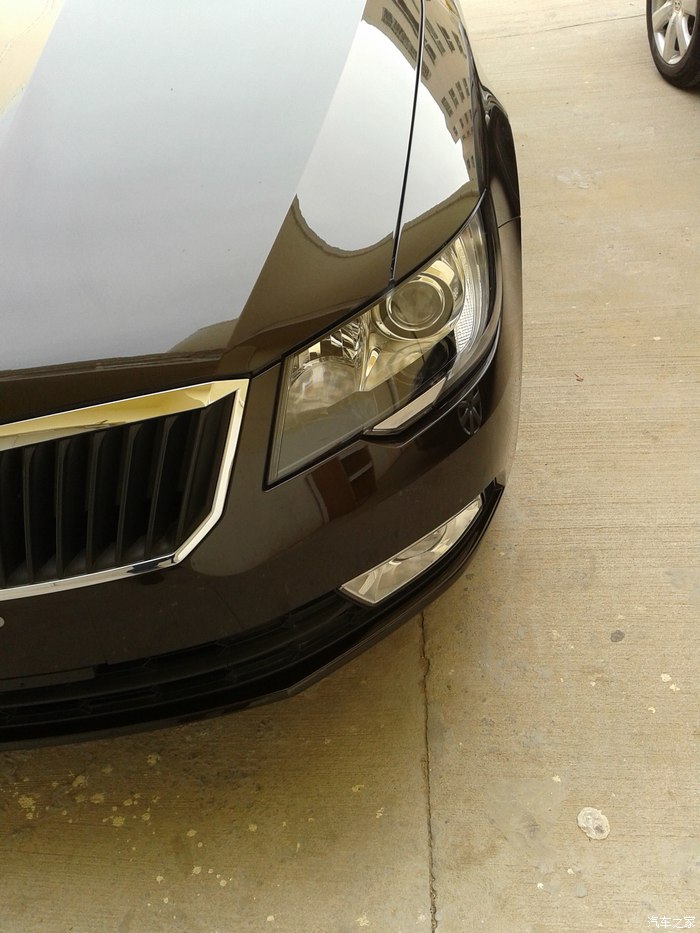 人生第n辆车速派14dsg绅士琥珀棕提车作业选用车感受