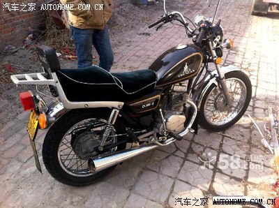 春兰虎和春兰豹.