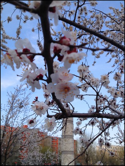 漫步四平文化广场