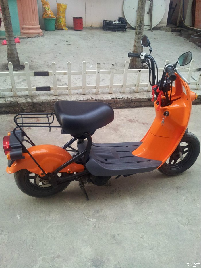 我的铃木小蛋蛋