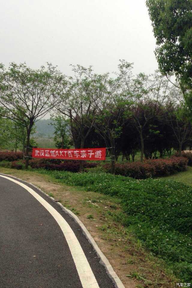 绿道路边的指引横幅