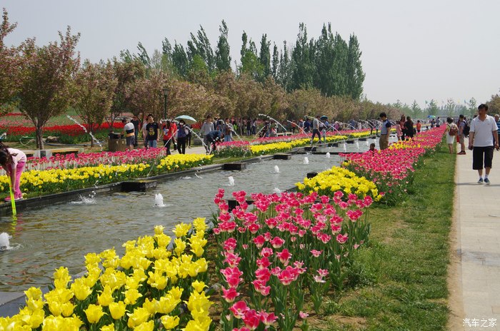 北京顺义国际鲜花港一日游花团锦簇不虚此行