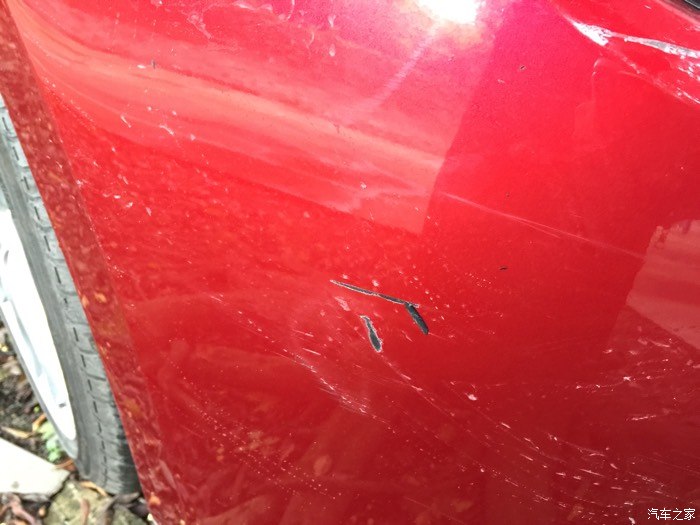 为什么发几血几血的都是白色车?其他车为啥不发?