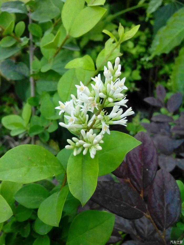 若木系列你有的是钱若木有的是时间我的训练生活