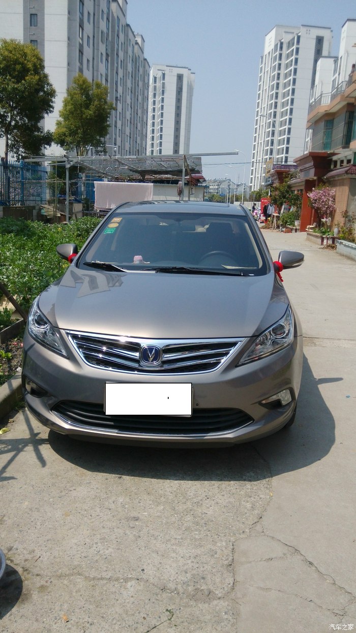 15款咖啡金逸动