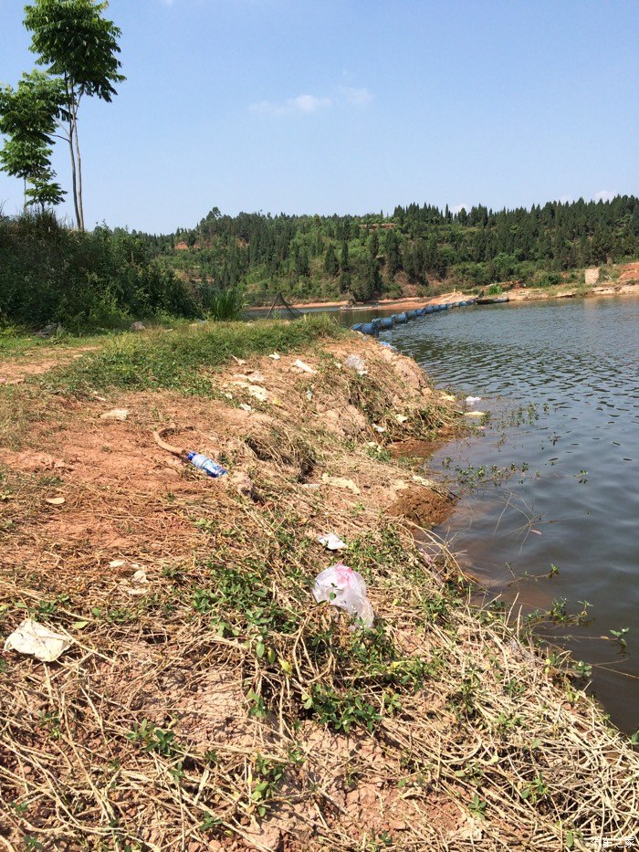 水库退水了不好钓啊