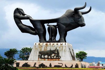 好多坛友分不清江川和澄江,看看江川各种美!