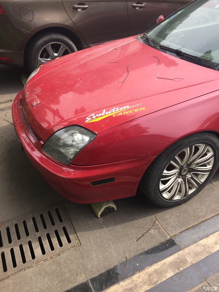 本田红头稀有品种懂车的看看