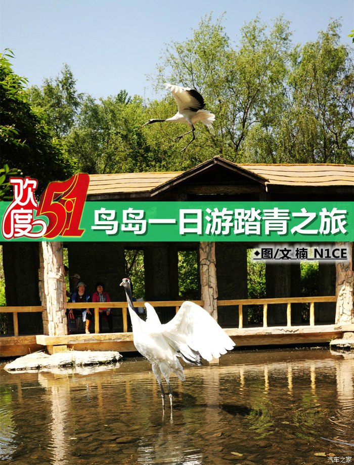 版主活动欢度五一鸟岛一日游踏青之旅