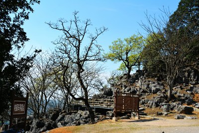 師宗菌子山*看怪石嶙峋的喀斯特地貌,灌木叢和懸崖天路(6)