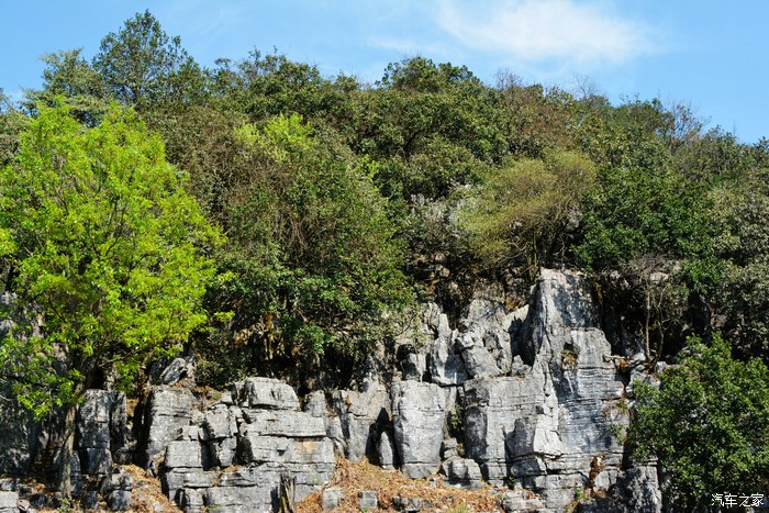 師宗菌子山看怪石嶙峋的喀斯特地貌灌木叢和懸崖天路6