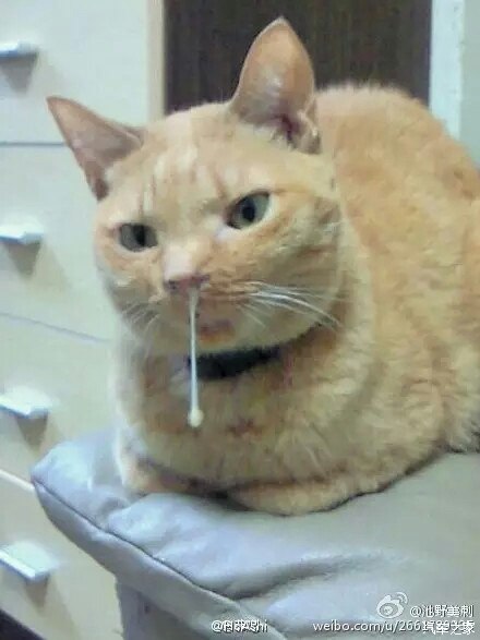 被别人撞还吃全责