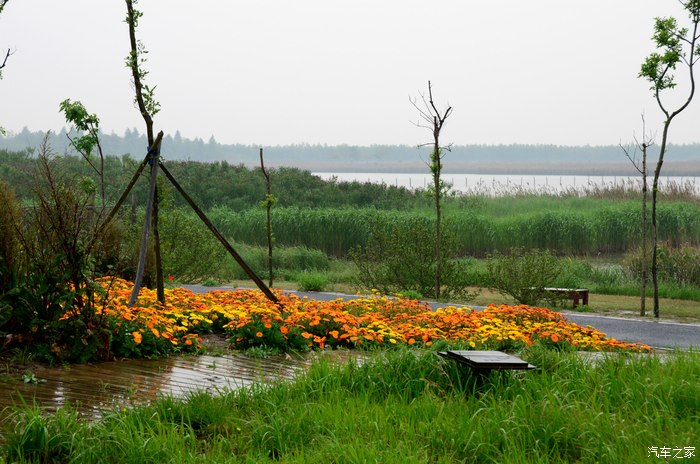上海崇明东滩湿地公园一日游5月15号