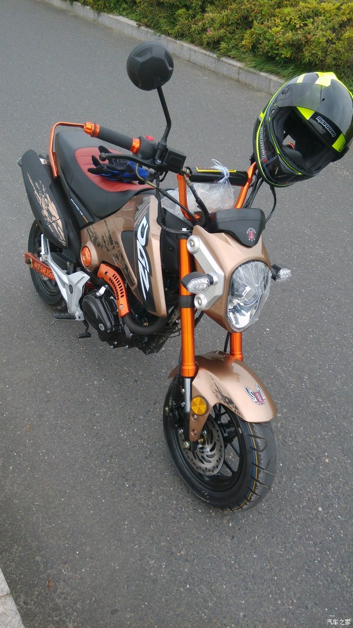 苏州提双色版望江大公仔苏州摩友之家