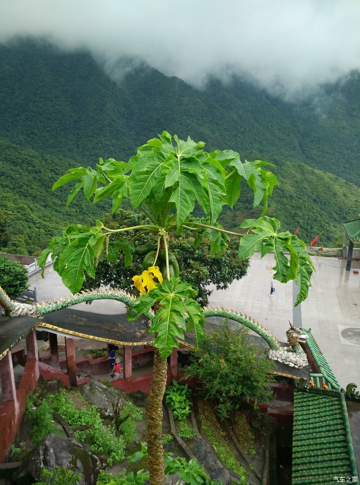 惠州惠东县南山龙岩寺一日游