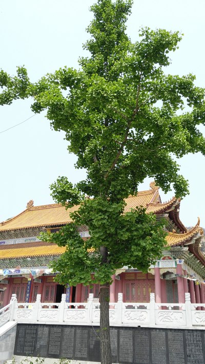 5.16周末北海鲅鱼圈龙王庙海边闲逛