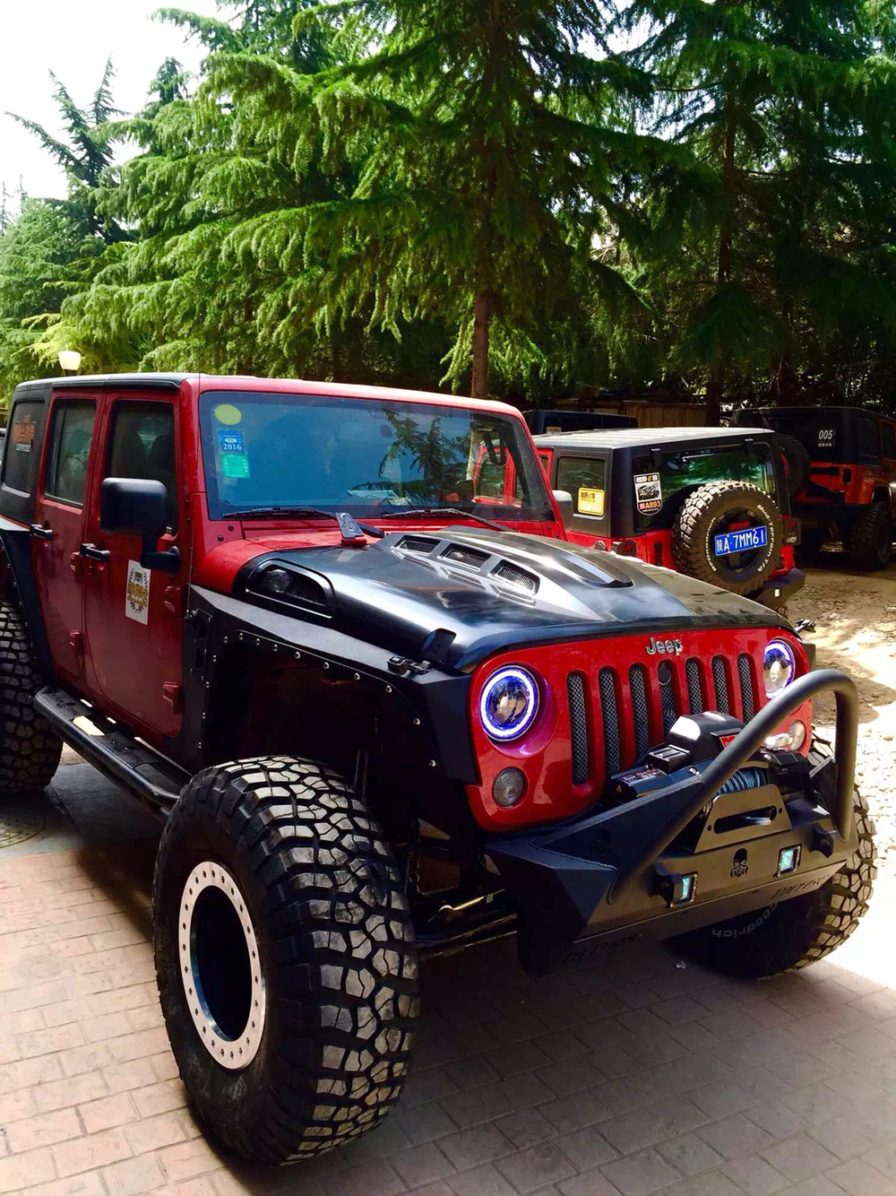 陕西马帮为明天牧马人婚礼车队红马在做准备