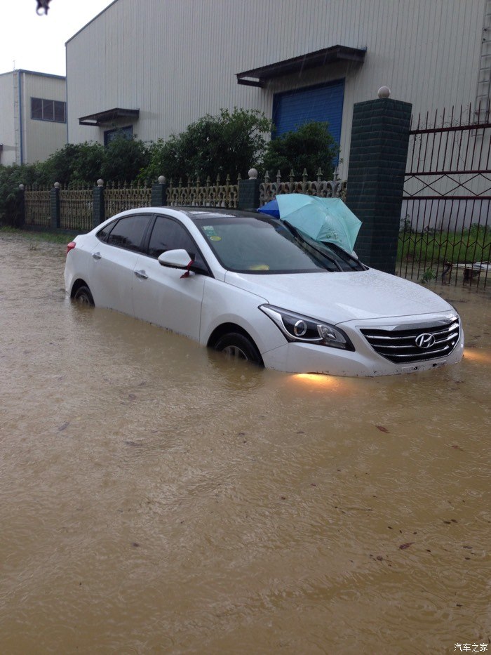 【图】车被水淹了_名图论坛_汽车之家论坛