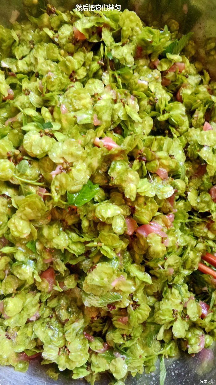 今天转发一道 榆钱包子