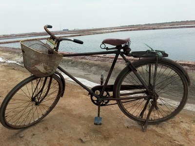 有谁试过脚刹系统的复古自行车吗?