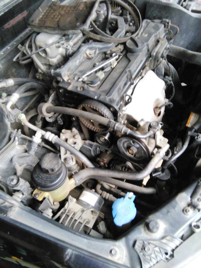 今天抽空去换了水泵