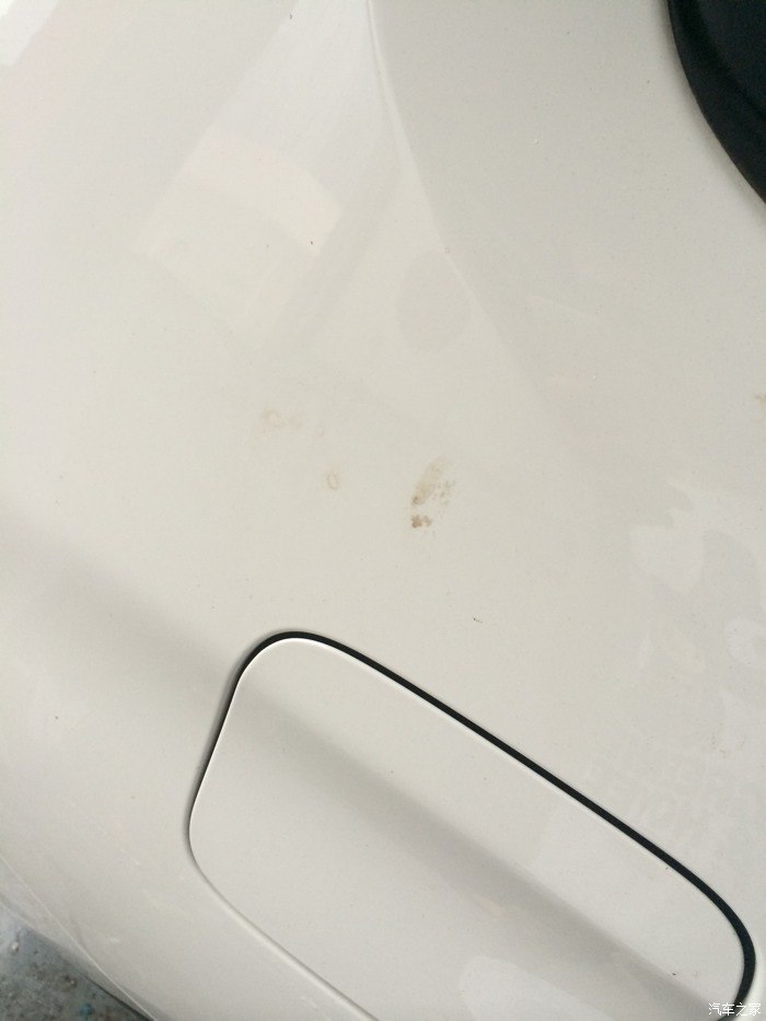 求教白色车停树下树脂滴到车身上洗不掉