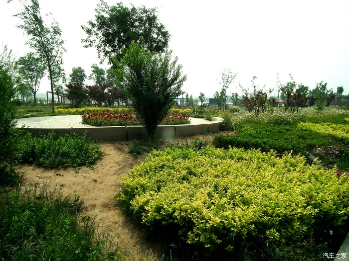 驱小五行进在天然氧吧东营森林乐园