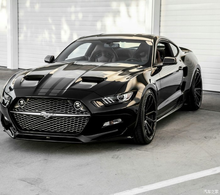 恭喜楼主.小弟学生一枚,也喜欢野马.目标结婚前买一台.