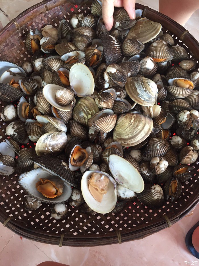 海陵岛白蒲圩好多海鲜