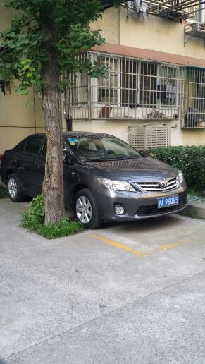 去朋友家玩看到一辆神停车.