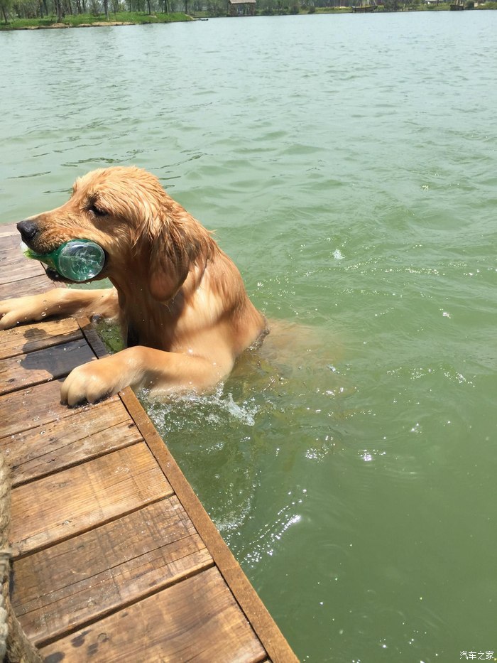 苏州林肯mkc尊耀汽车之家认证好礼往下翻~申精啦