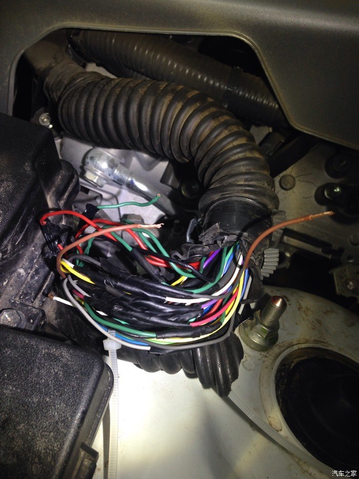 【图】车的线路被老鼠咬了_锐志论坛_汽车之家论坛