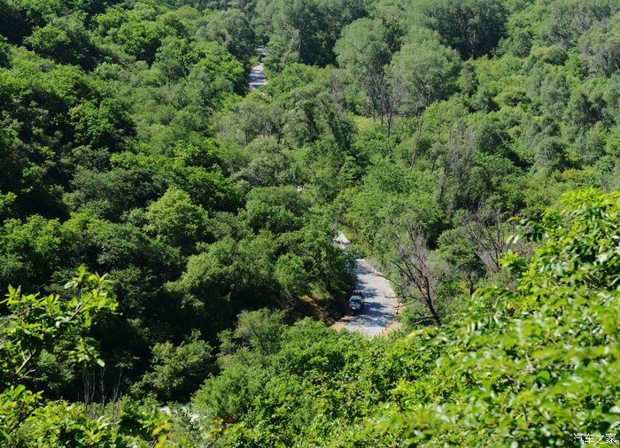 在大青沟自然保护区悠闲的一天