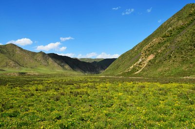 讓心靜下來,去看草原吧(青海省黃南州同仁縣多哇鎮的草原美景)