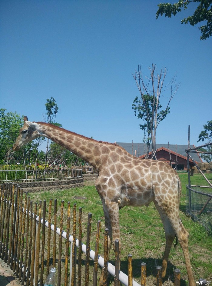 齊齊哈爾龍沙動植物園遊記