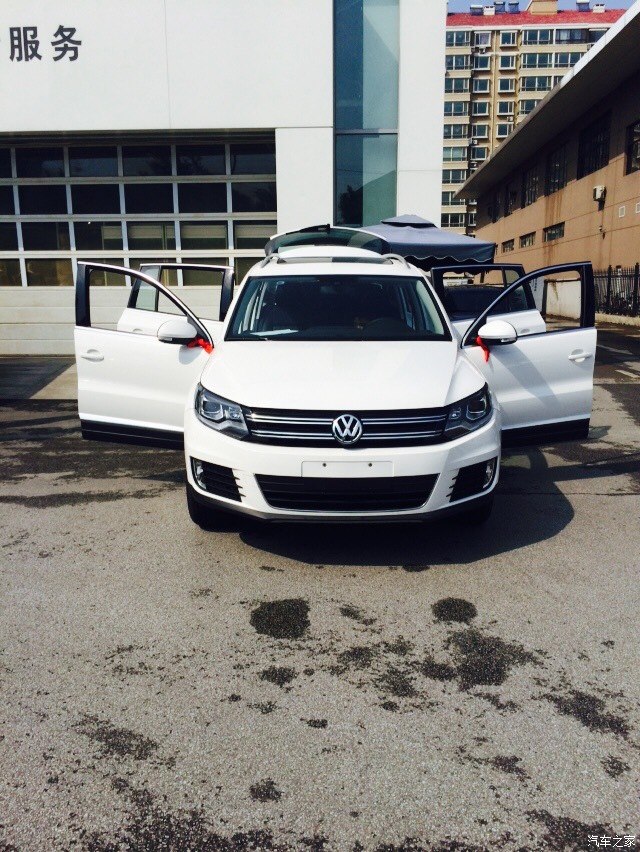 我家新成员白途途请版主认证