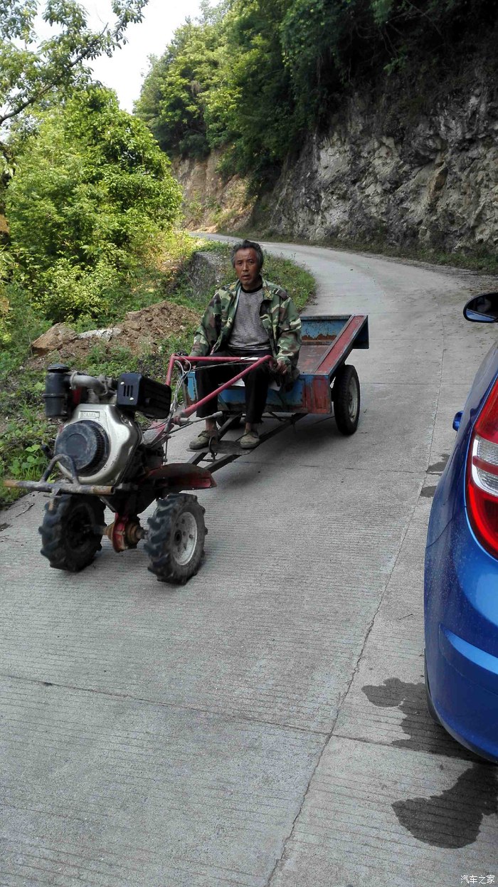 大爷,你这蚂蚱头和常见不太一样么