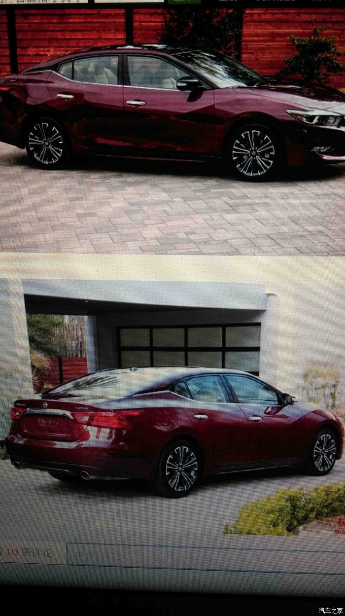 新出的蓝鸟什么鬼看美版maxima