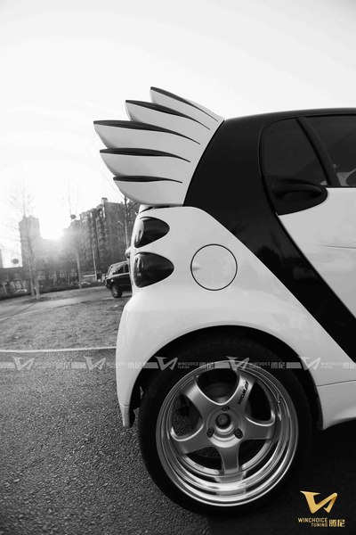 smart 任性改装天使之翼!玩的就是炫酷.