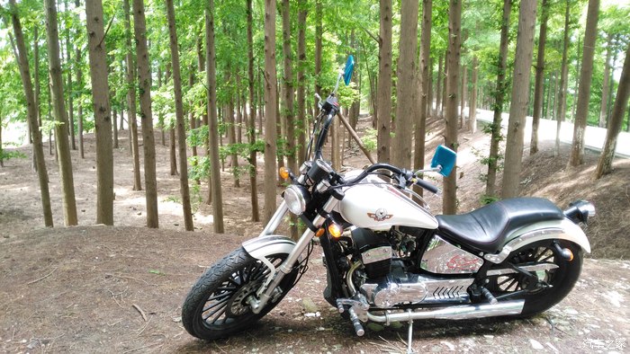 大地鹰王迪特纳长期驾驶报告--关于v缸的那些事儿