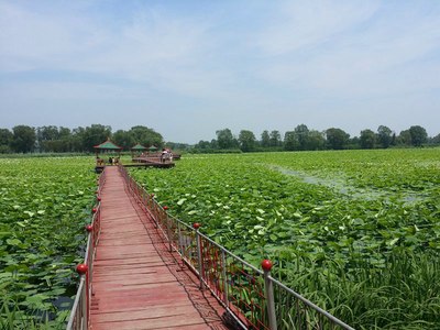 【端午小长假】沈阳新民小西湖一日游(地点前当堡)海量图片