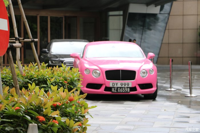 雨中的粉色宾利gt