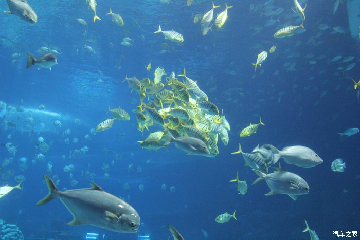 珠海长隆海洋王国2天1夜自驾亲子游