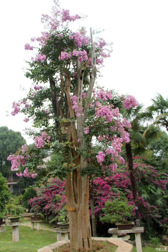 王老吉和果粒程的旅行-开着mini去逛逛(更新至day29西宁)